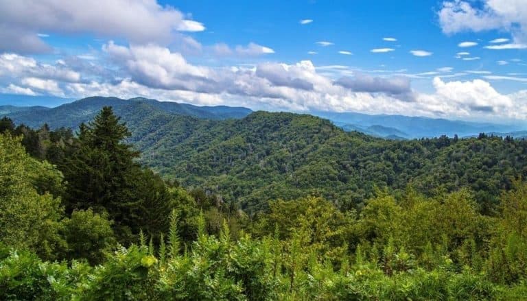 Big Ridge State Park